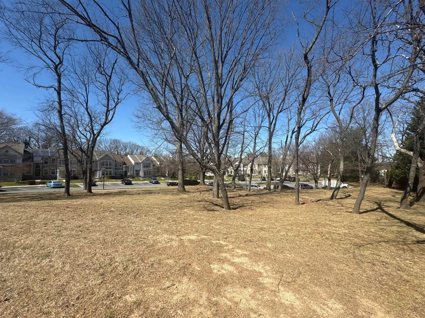 Community in Perry Hall, MD