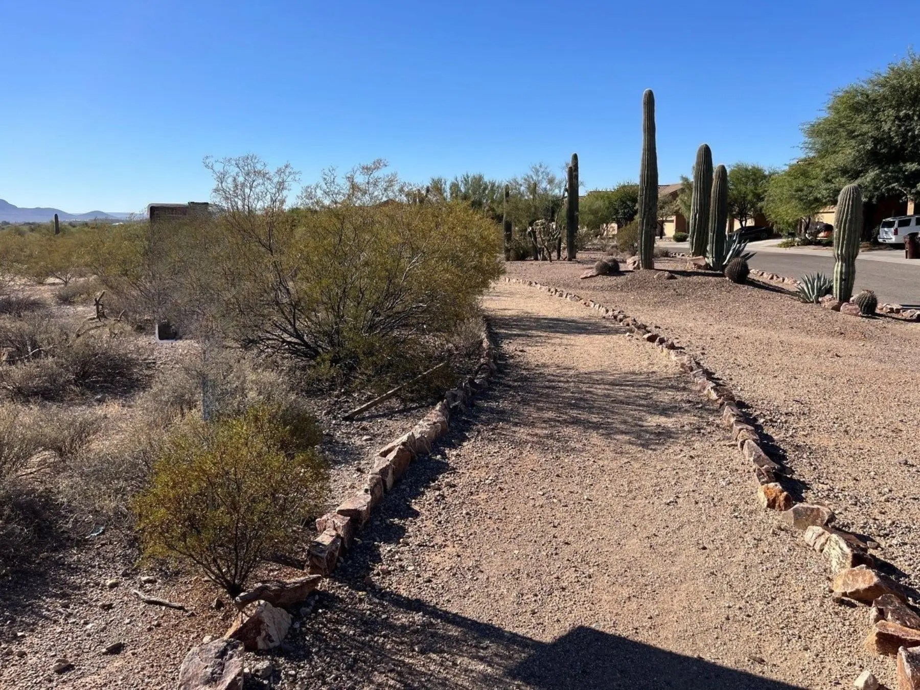 Desert area Homeowners Association, Tucson, AZ